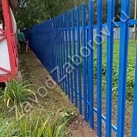 Забор из синего металлического штакетника