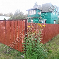 Забор из евроштакетника под дерево