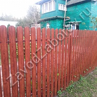 Забор из евроштакетника под дерево