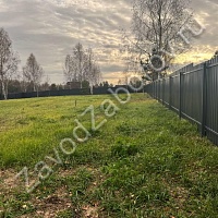 Комбинированный забор из профлиста и штакетника