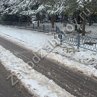 Газонное ограждение