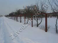 rabitsa_2_resize_1.jpg